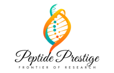 transparent logo2